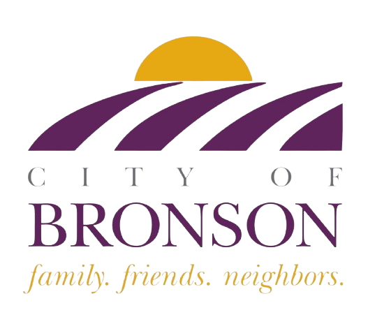 Bronson Logo