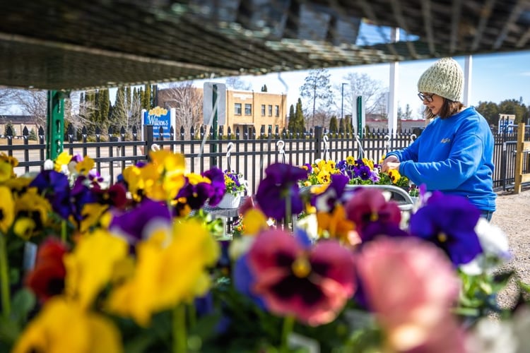 woman handling flowers
