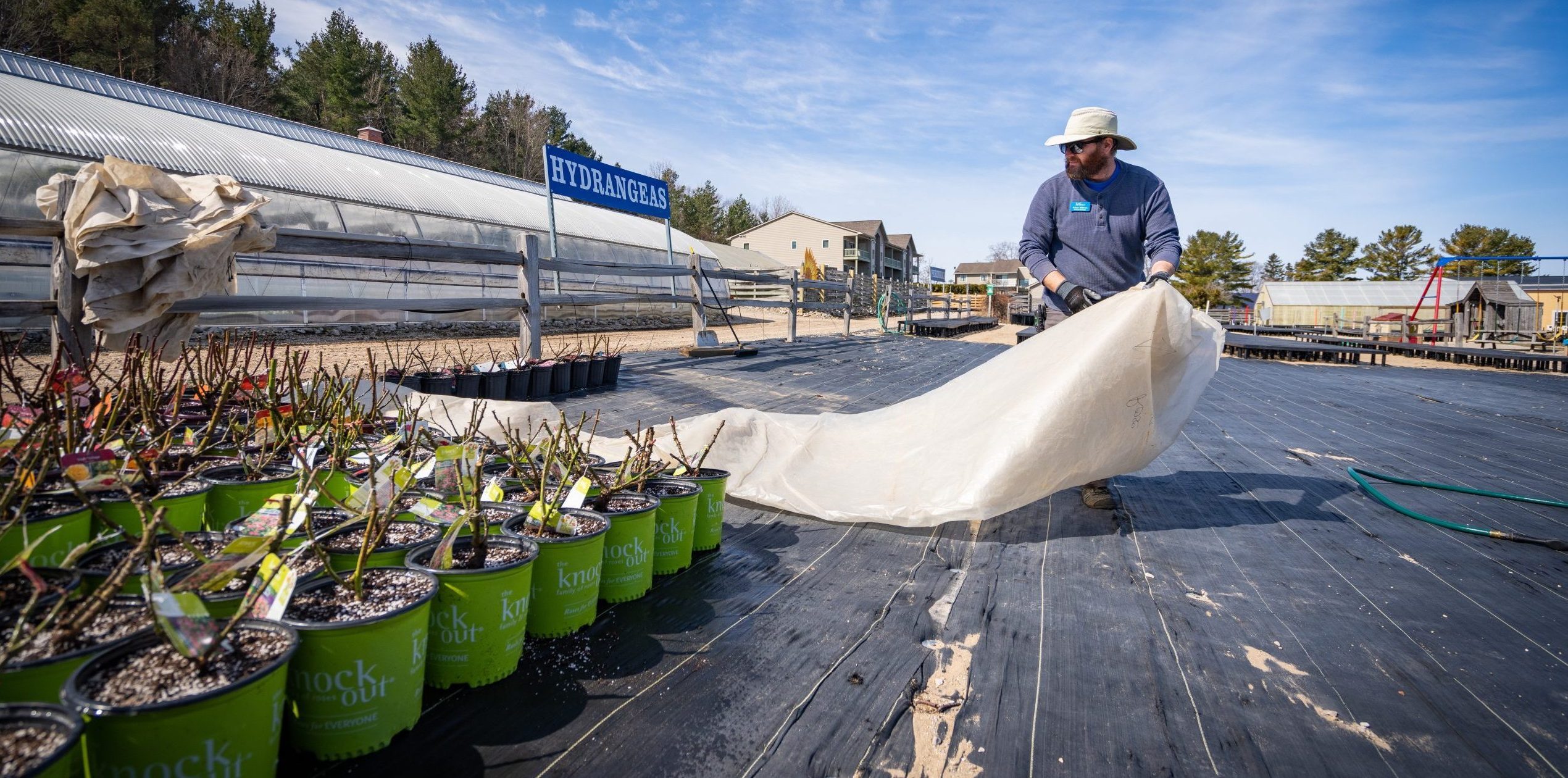 man helping with families gardening business